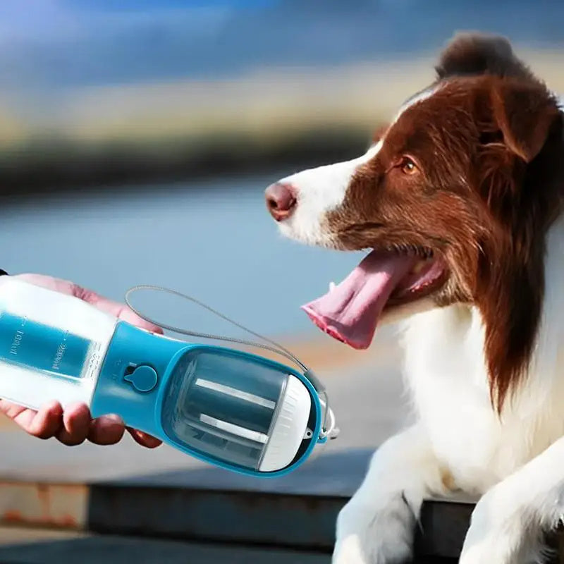 Gobelet à eau pour chien, sac poubelle portable pour animaux de compagnie