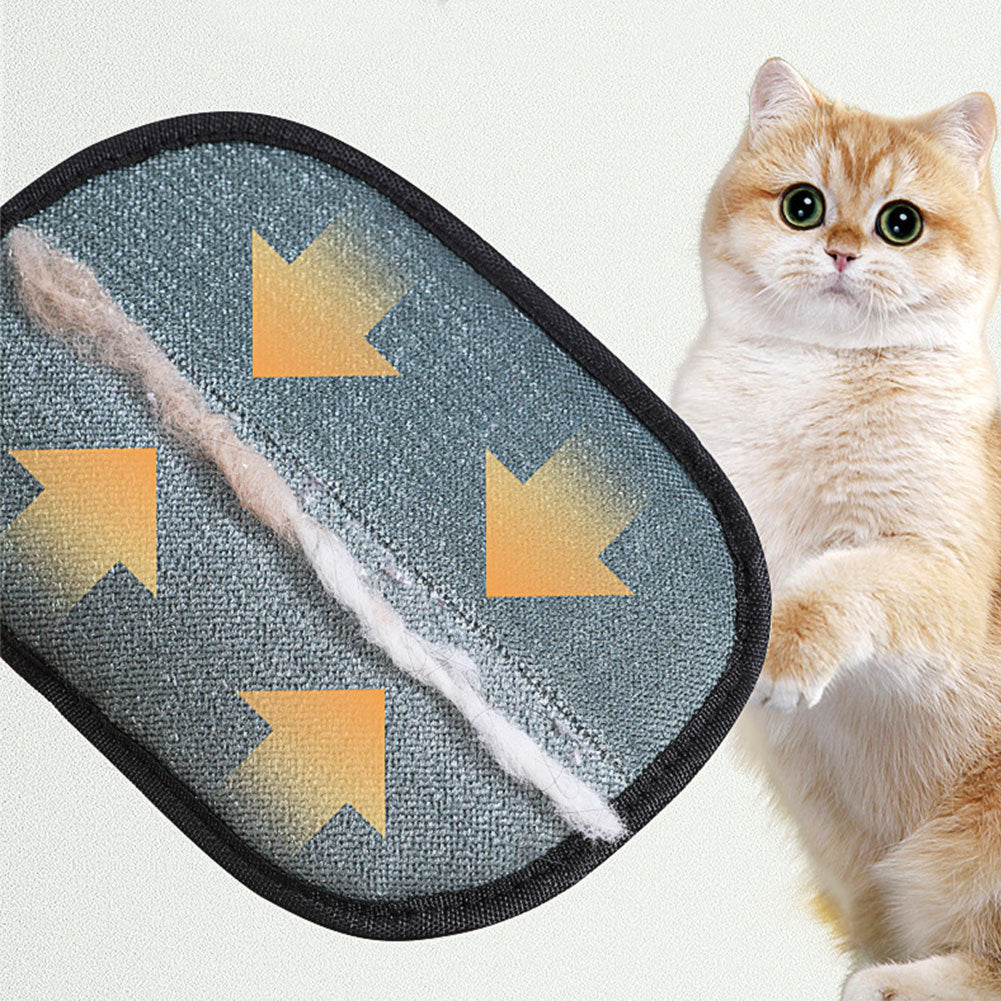 Gants Magiques de Nettoyage pour Poils d'Animaux