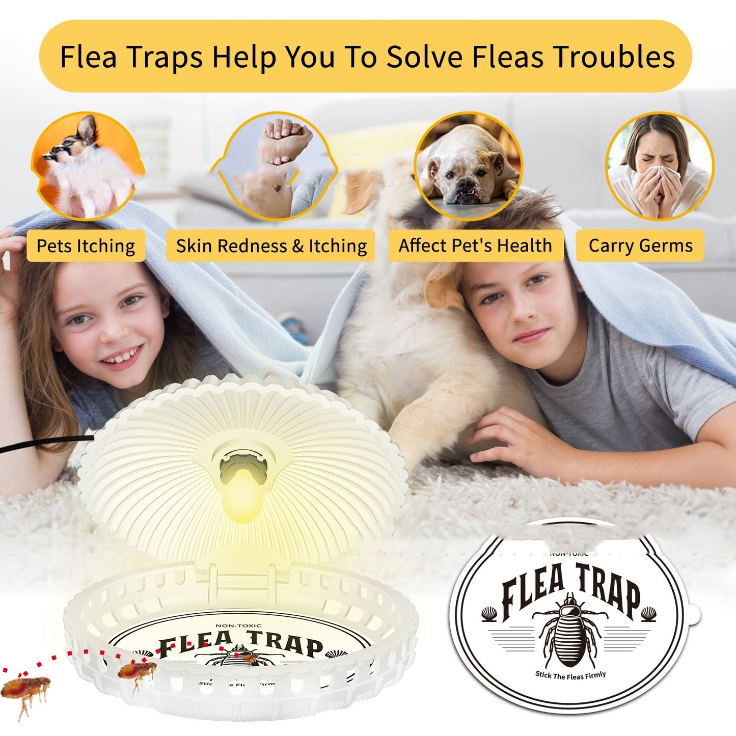 Lampe anti-puces en forme de coquillage pour animaux de compagnie