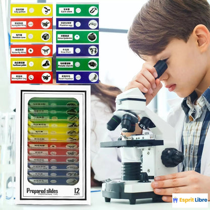 Microscope de poche pour enfants 60-120x avec éclairage LED