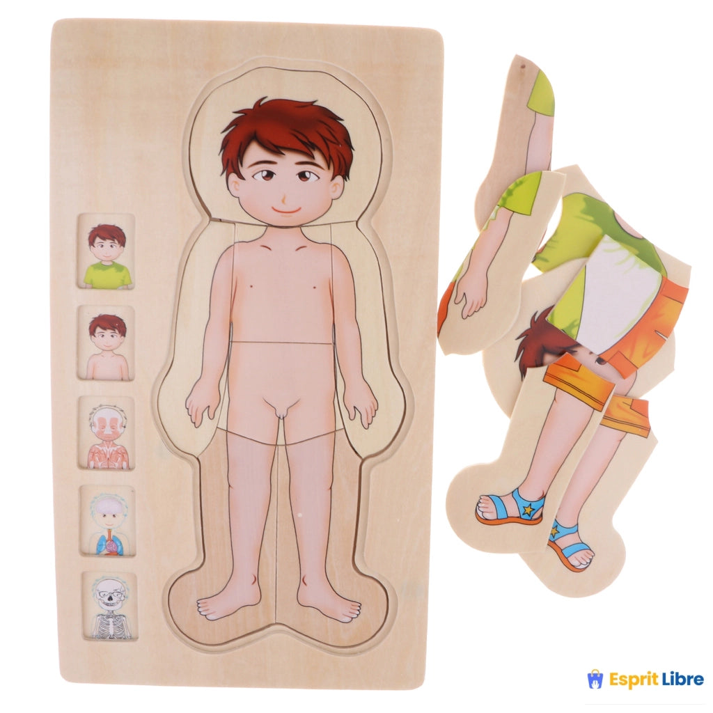 Puzzle éducatif en bois, puzzle en couches sur la structure du corps humain pour enfants