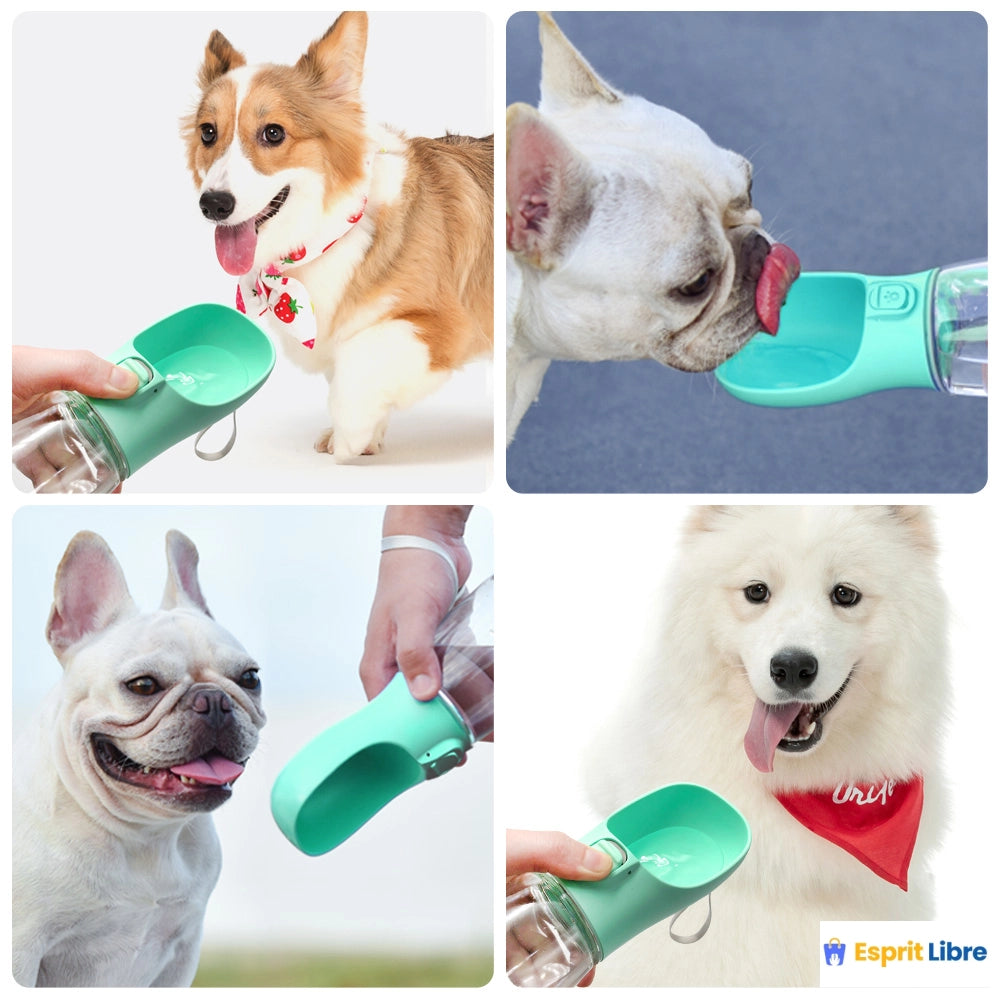 Bouteille d'eau portable pour chien - Pour chiens de petite et grande taille - Léger et étanche - Idéal pour les promenades