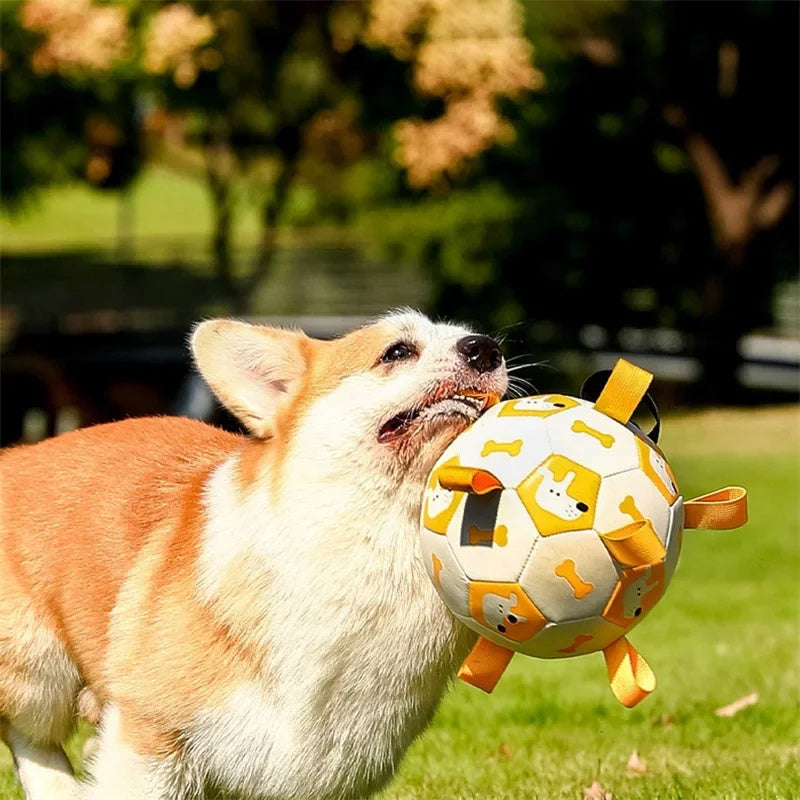 Balle de soccer interactive pour chien