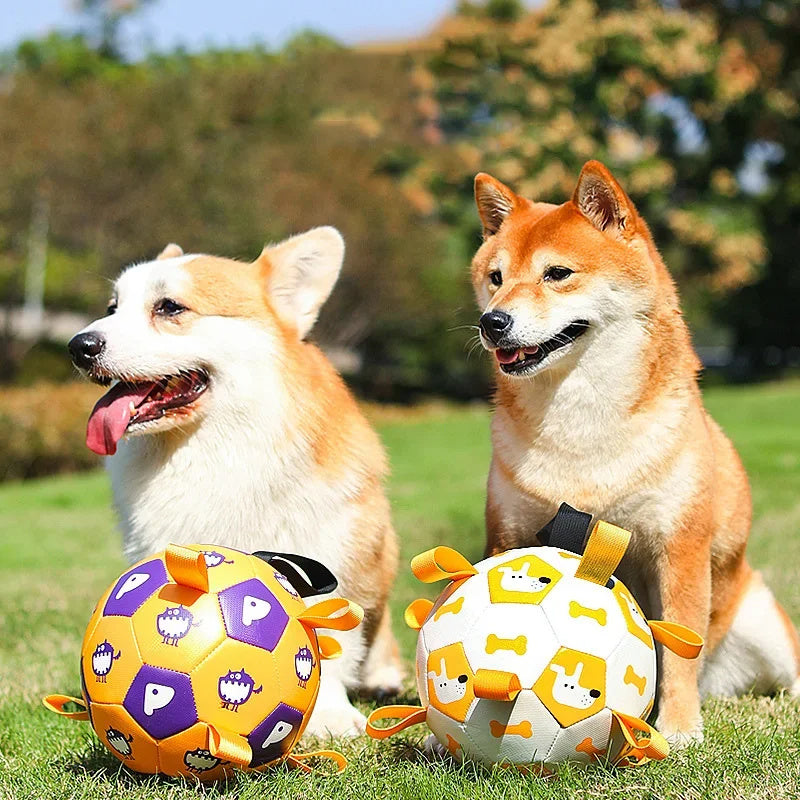 Balle de soccer interactive pour chien