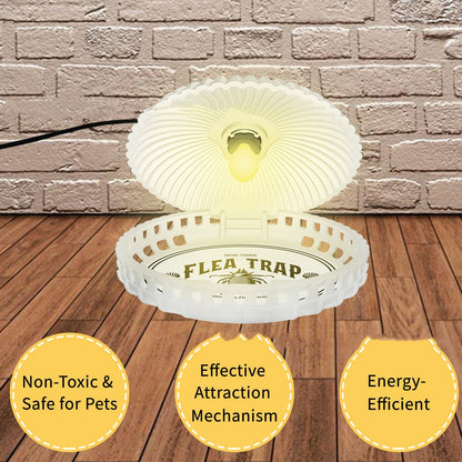 Lampe anti-puces en forme de coquillage pour animaux de compagnie
