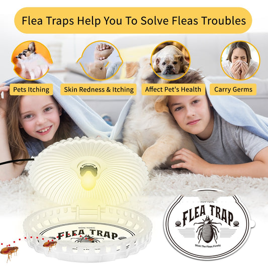 Lampe anti-puces en forme de coquillage pour animaux de compagnie