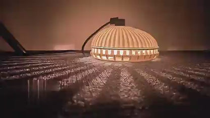 Lampe anti-puces en forme de coquillage pour animaux de compagnie